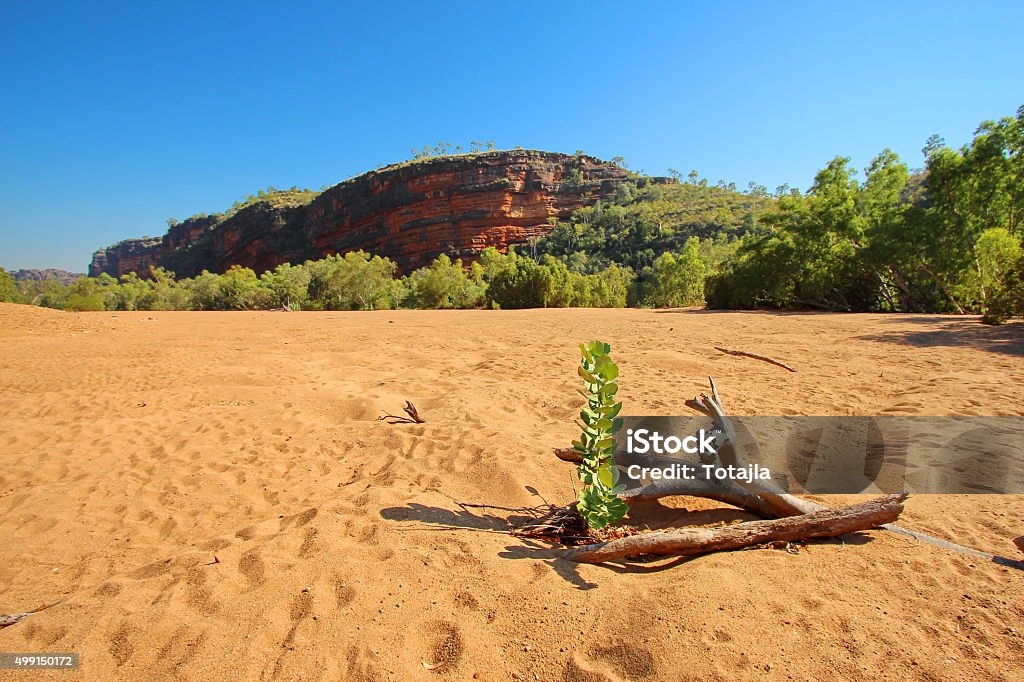 Windjana Gorge, Kimberley, Western Australia Spectacular Australian outback. Windjana Gorge Stock Photo