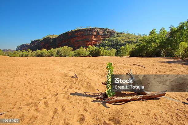 Windjana Gorge Kimberley Western Australia Stock Photo - Download Image Now - Windjana Gorge, 2015, Arid Climate