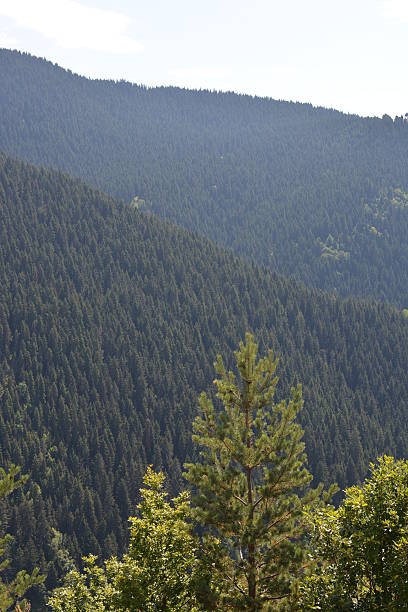 istock Artvin Mountainous Landscape 499151640