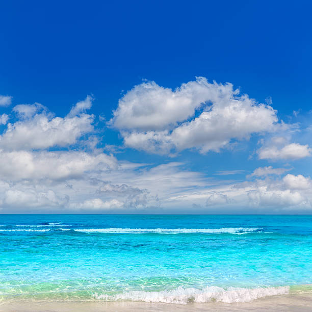 istock Majorca Es Trenc ses Arenes beach in Balearic 499152394