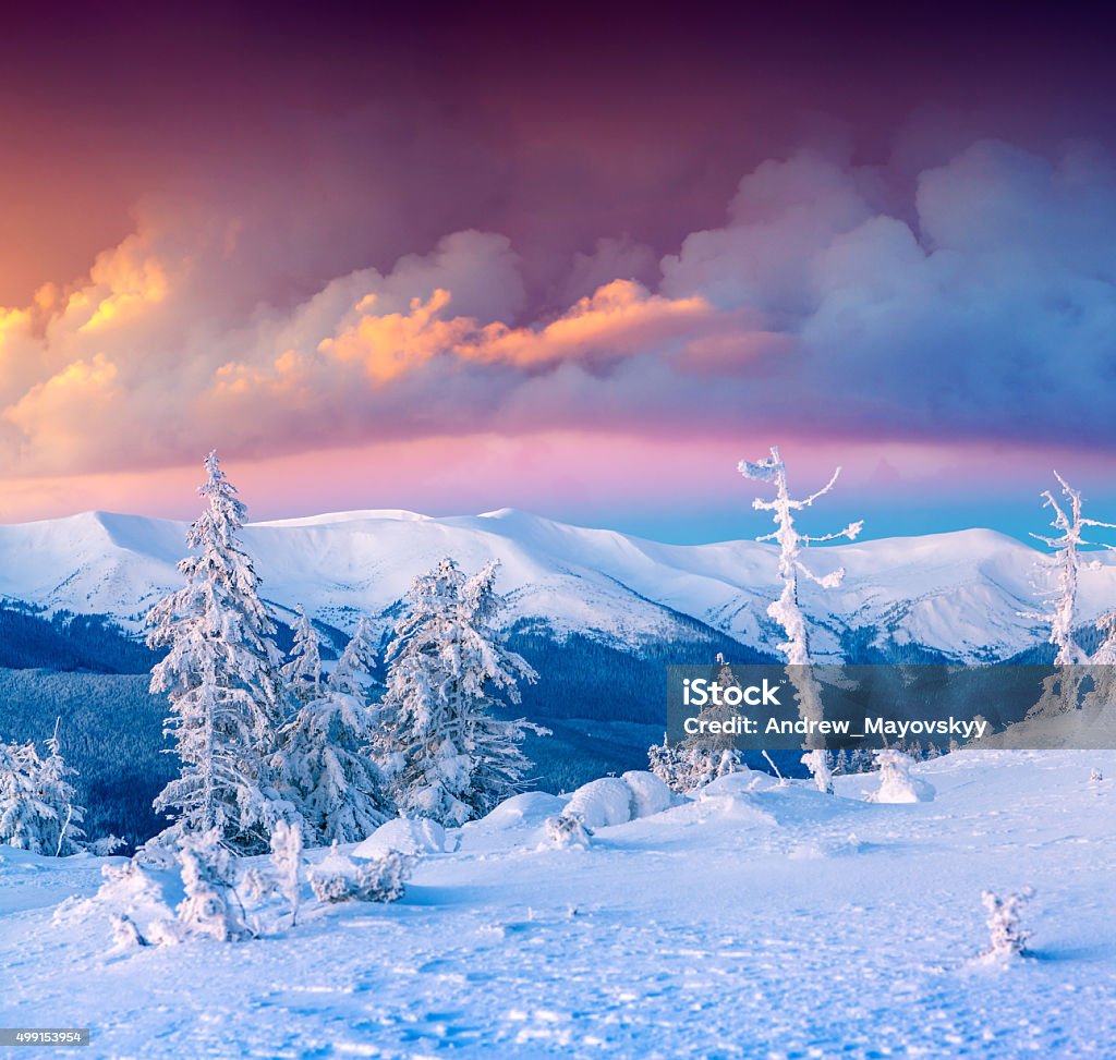Colorful winter scene in the snowy mountains. Colorful winter scene in the snowy mountains. Fresh snow at frosty morning glowing first sunlight. Instagram toning. 2015 Stock Photo
