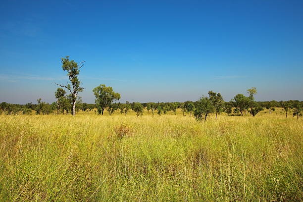 istock Kimberley, Western Australia 499154096