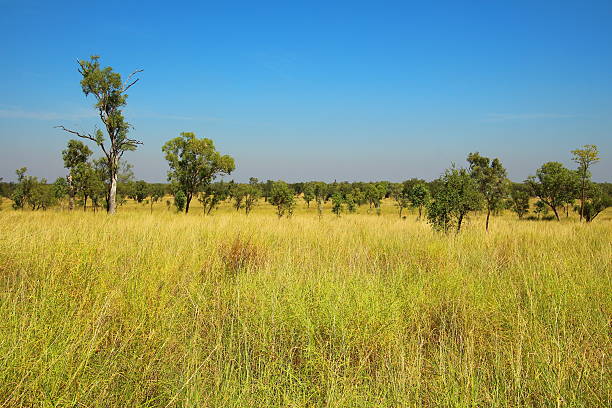 istock Kimberley, Western Australia 499154288