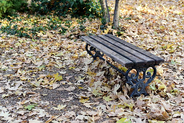 istock Autumn background - bench in the park 499156594