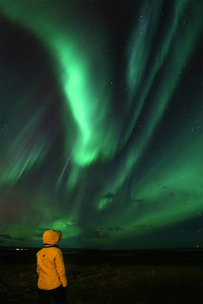 istock Person Watching Northern Lights in Iceland 499157050
