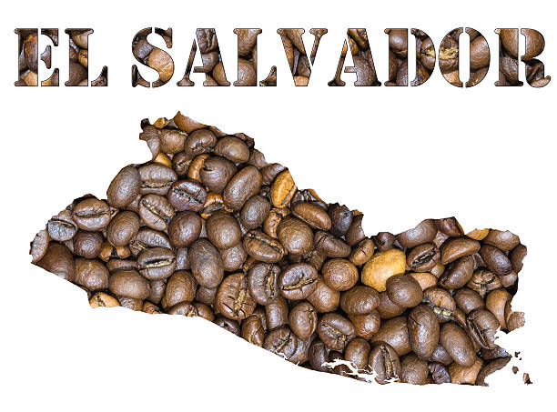 エルサルバドルワードおよび国別マップで形作られたコーヒー豆 - cartography map el salvador photography ストックフォトと画像