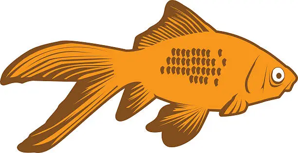 Vector illustration of GoldFish