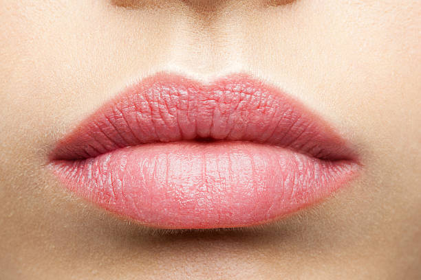dépoli lèvres rose naturel - big lips photos et images de collection