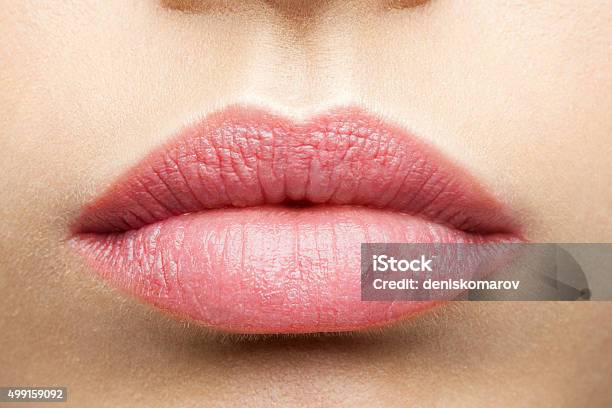 Natural Frosted Pink Lips Stock Photo - Download Image Now - Human Lips, Women, Dermal Filler