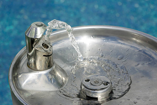 istock ﻿water to drink in a fountain trough 499169928