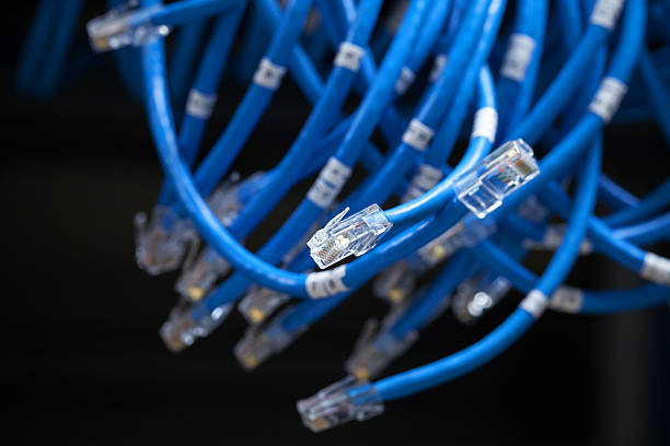 istock Large group of blue disconnected Internet cables 499170395