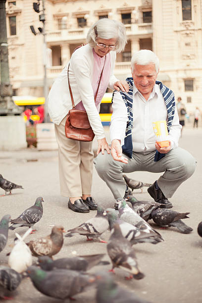 istock Senior couple outdoors 499171215