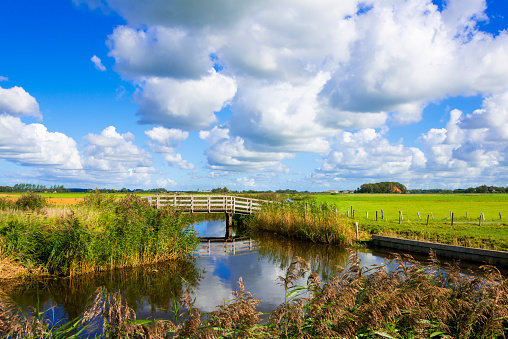 Colorful pond in the park