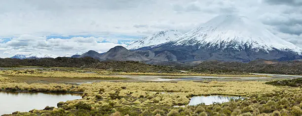 Photo of Snow capped Parinacota volcano