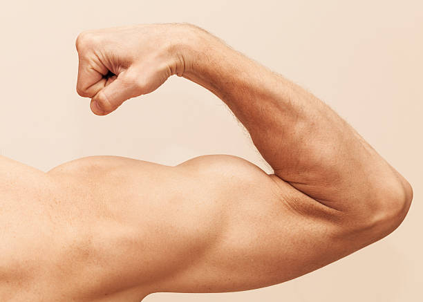 istock Strong male arm shows biceps. Close up photo 499172127