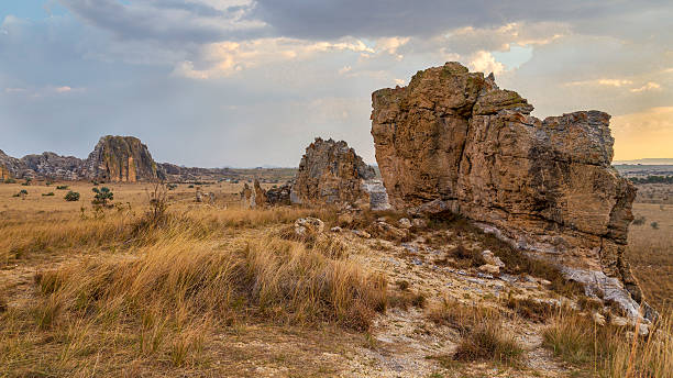 istock Bush and rock desert sunset in Isalo, Madagascar 499172228