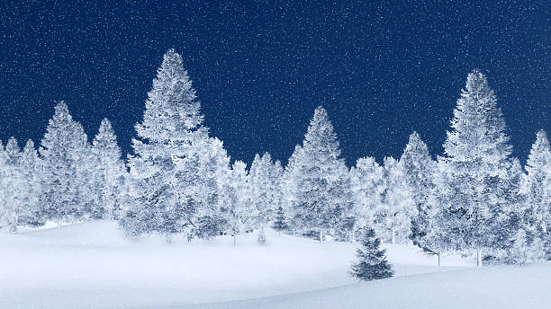 istock Snowy spruce forest at winter night 499174432