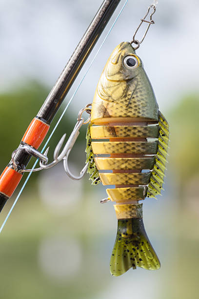 istock lures for fishing, bait 499174487