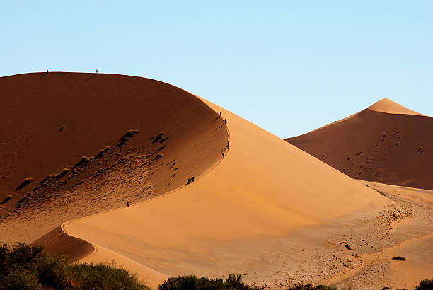 istock Sosssusvlei dune, Namib Naukluft National Park, Namibia 499174658