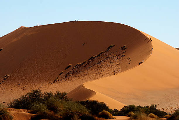 istock Sosssusvlei dune, Namib Naukluft National Park, Namibia 499174708
