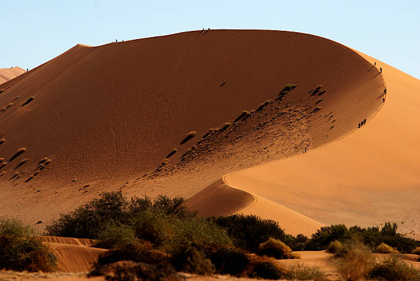 istock Sosssusvlei dune, Namib Naukluft National Park, Namibia 499174780