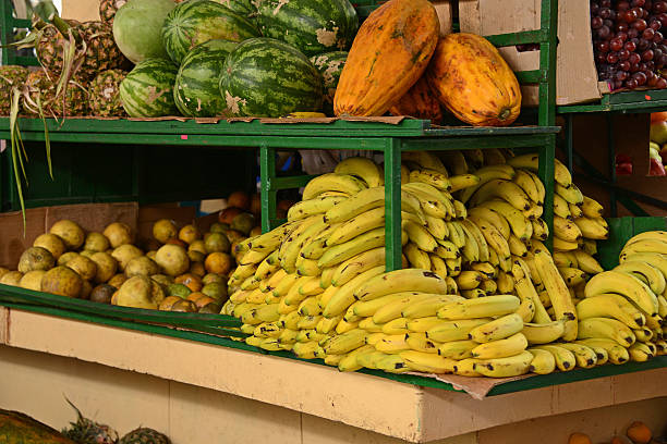 istock Melons, papayas, pineapples and bananas 499175936
