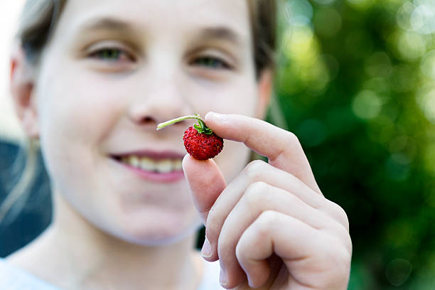 istock Young Girl Holding a Wild Strawberry 499176709