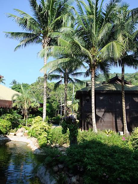 istock Redang island resort, Malaysia 499176768