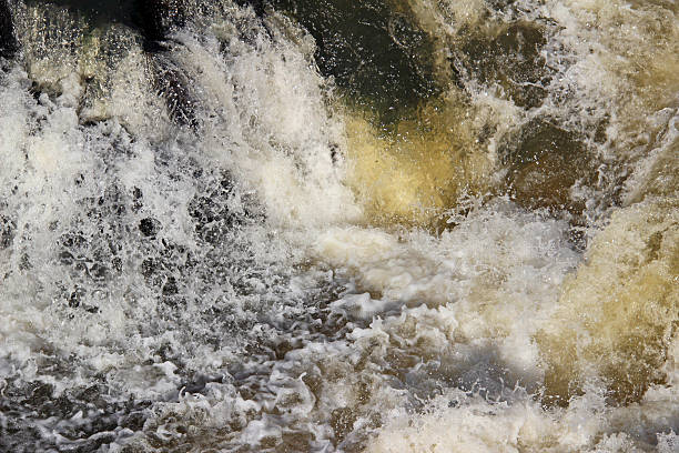 istock Madagascar: Rapids along the Namorona River 499178364