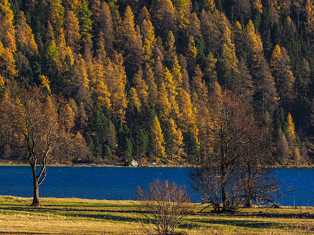 istock Lake in the Swiss Alps 499179628