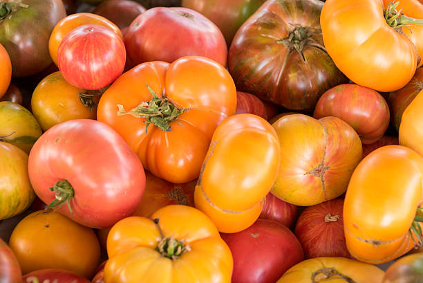 istock Farmer's Market Heirloom Tomatoes 499179928