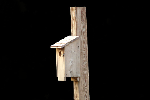 Blue Bird house with black background