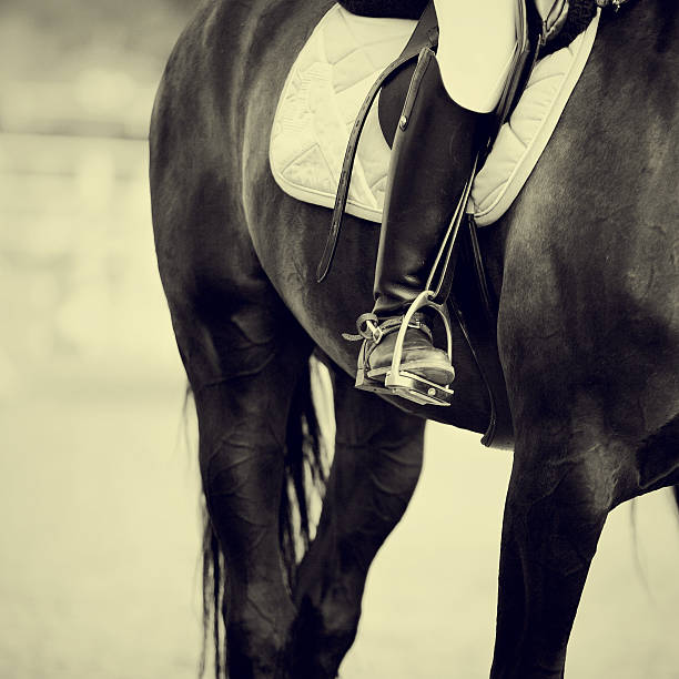 istock Foot of the athlete in a stirrup 499182548