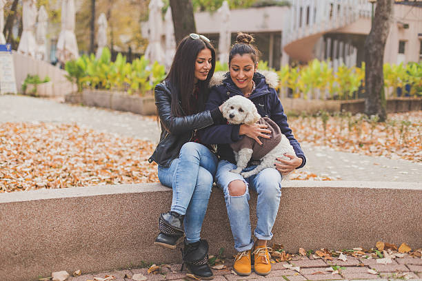 istock Two lesbians sitting in the park and play with dog 499182798