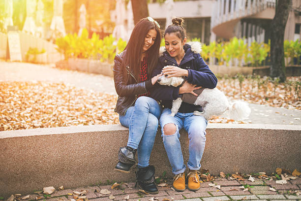 istock Two lesbians sitting in the park and play with dog 499183230