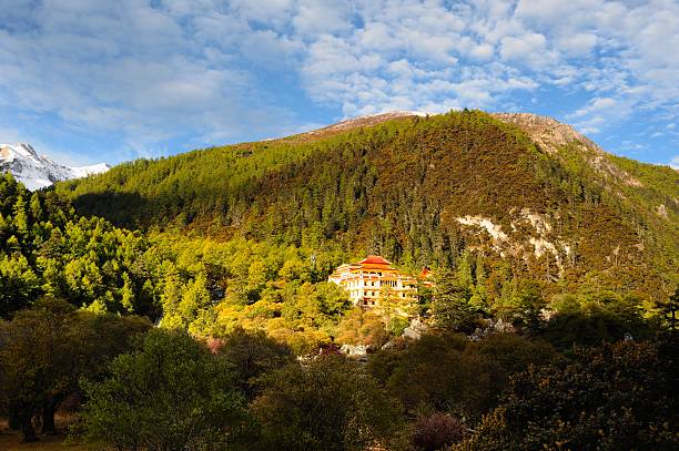 istock temple in the colorful forest 01 499183860