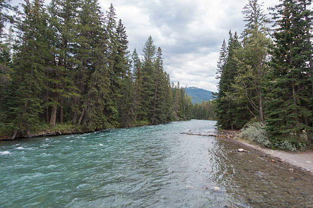 istock Canadian Rockies mountain river scene 499185042