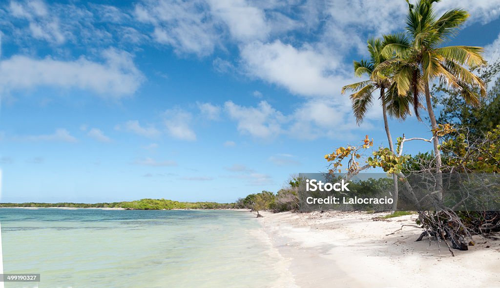 Playa Caribe - Foto de stock de Cayo Coco libre de derechos