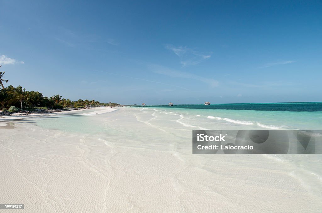 Paradisíaco beach - Foto de stock de Aire libre libre de derechos