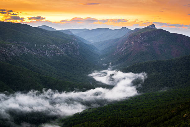 River of Fog at Linville stock photo