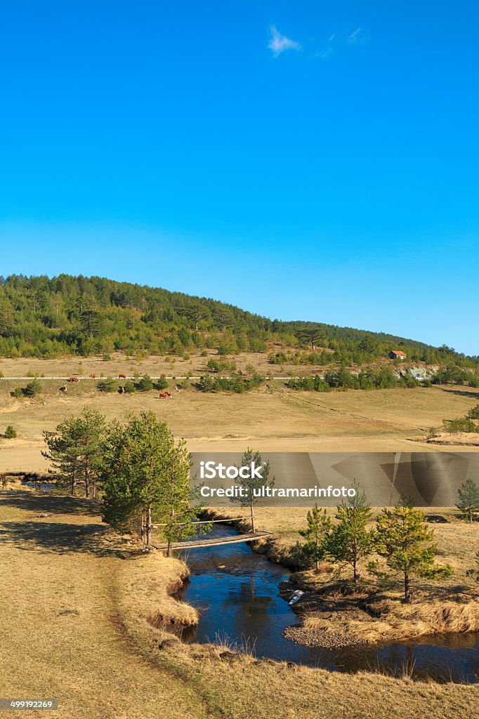 Mountain river Mountain river passes under a wooden bridge. Beauty In Nature Stock Photo