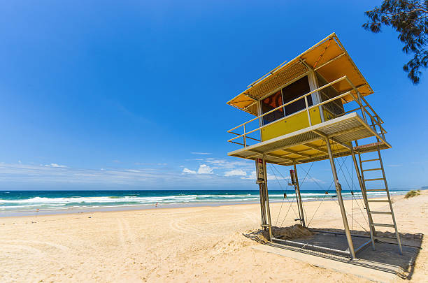 監視員の小屋 - gold coast australia lifeguard sea ストックフォトと画像