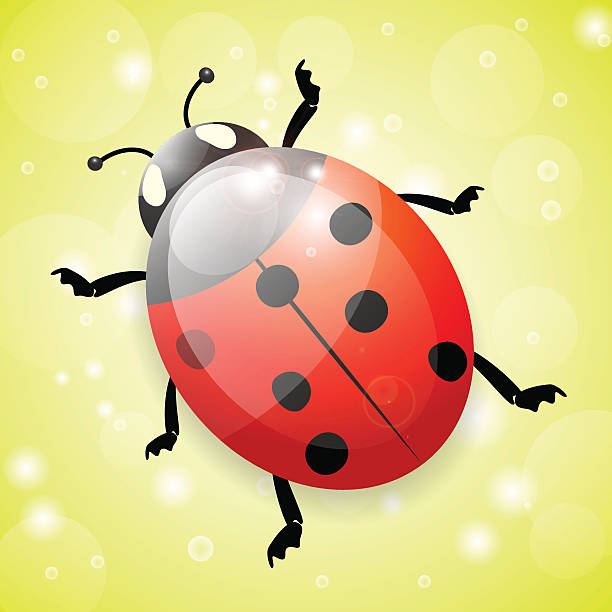 Ladybug on green background, illustration Ladybug on green background, illustration, vector, eps10, with transparency and gradient meshes seven spot ladybird stock illustrations