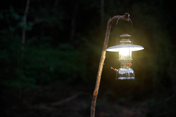 Gas lamp in night forest