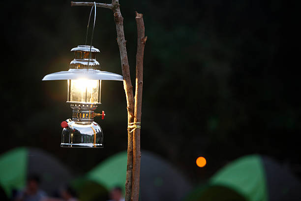 istock Gas lamp in night forest 499193975