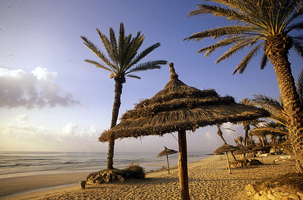 Africa Tunisia Jerba Beach Africa, Tunisia, Jerba  djerba stock pictures, royalty-free photos & images
