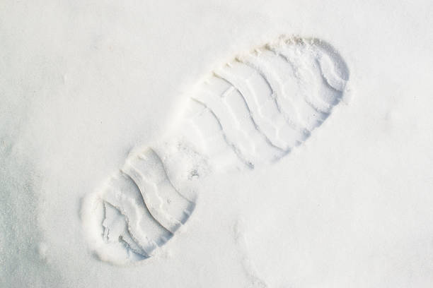 ботинки принтом под снежного барса - snow track human foot steps стоковые фото и изображения