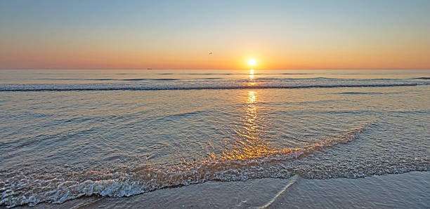 istock Sunset at sea in summer 499203182