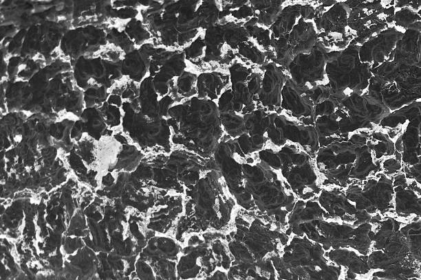 istock abstract of wood bark 499203432