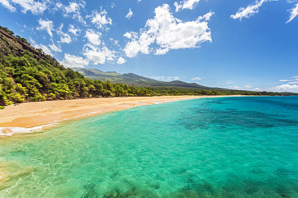 paraíso tropical encontrado - beach maui summer usa imagens e fotografias de stock